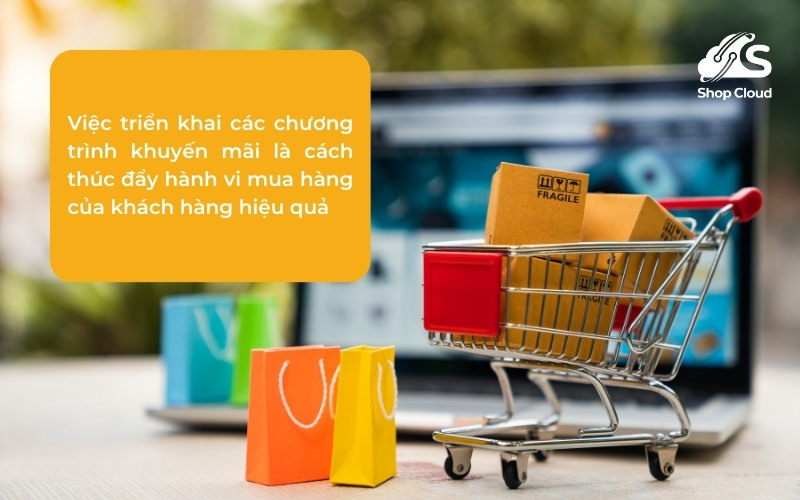 triển khai các chương trình khuyến mãi cho khách hàng cũ